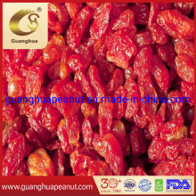 Hot Selling Preserved Tomato Cherry with Sweet Taste